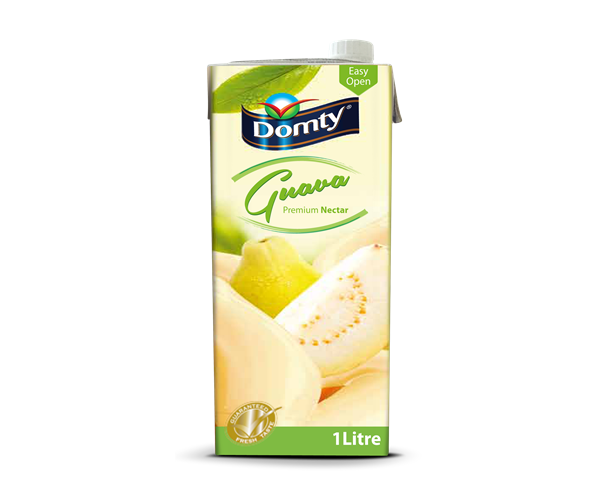DOMTY GUAVA JUOMA 1L