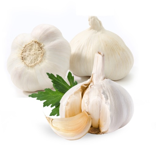 ALIBABA GARLIC 9,5KG 20 X 475G