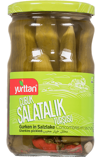 YURTTAN PICKLED CUCUMBERS CUBUK 620G